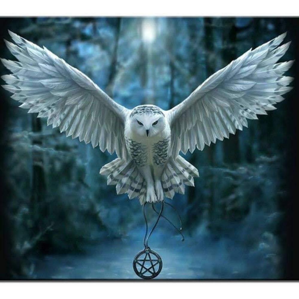 Harry Potter Soaring Hedwig DIY 5D Full Round Drill Diamond Painting